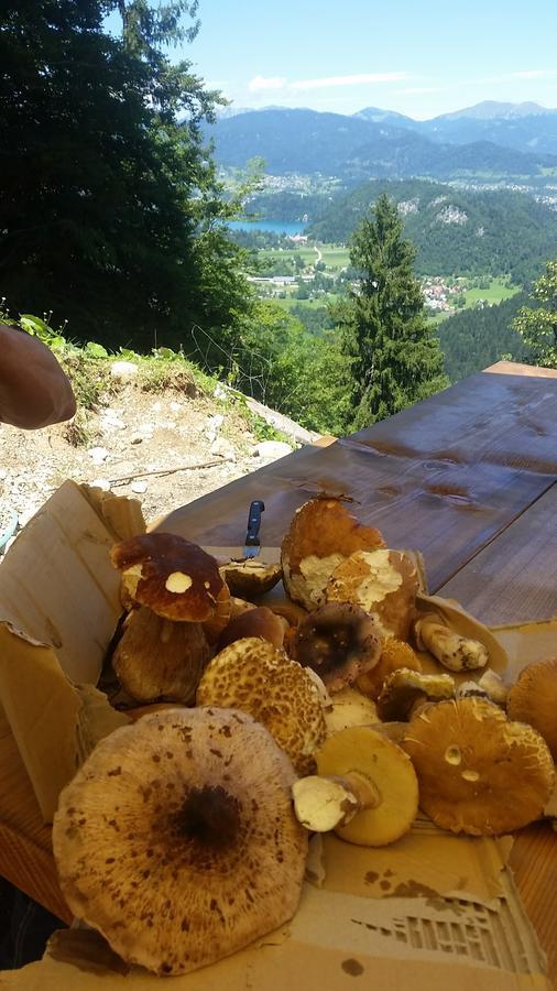 Koca Na Talezu Ribno Exterior foto